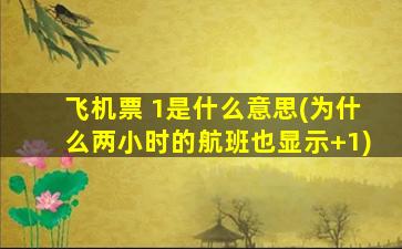 飞机票 1是什么意思(为什么两小时的航班也显示+1)